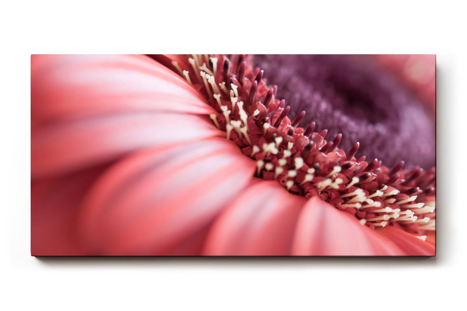 Sinus Art Wandbild 120x80cm Detailreiche Makroaufnahme einer Blüte mit sanfter Eleganz und organischer Struktur