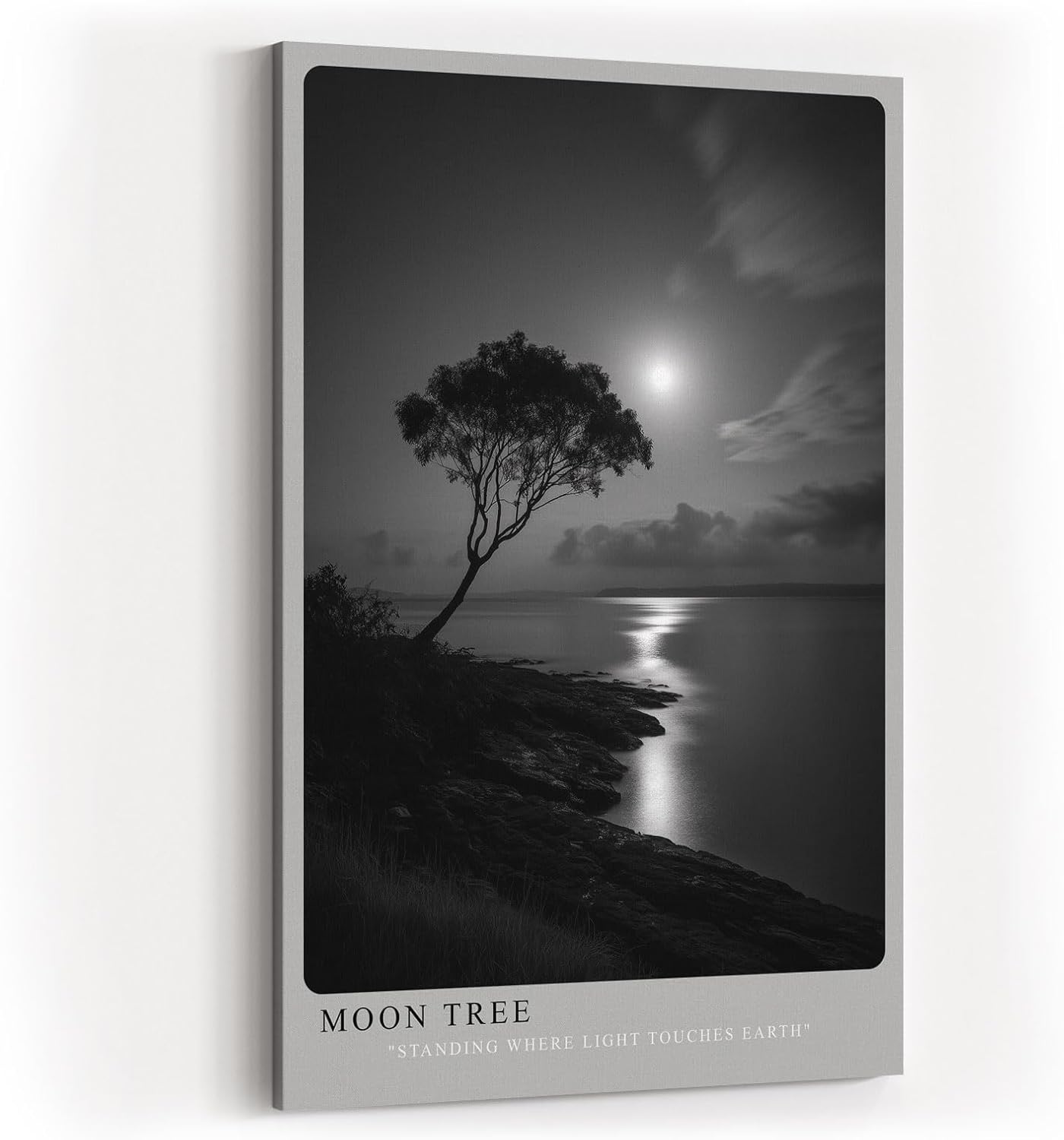 Paul Sinus Wandbild in 40x60cm Moon Tree – stimmungsvolle Schwarz-Weiß-Landschaft mit Baum am Ufer im Mondlicht