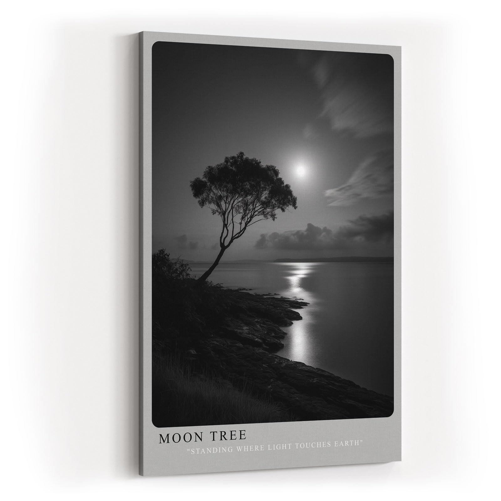 Paul Sinus Wandbild in 40x60cm Moon Tree – stimmungsvolle Schwarz-Weiß-Landschaft mit Baum am Ufer im Mondlicht