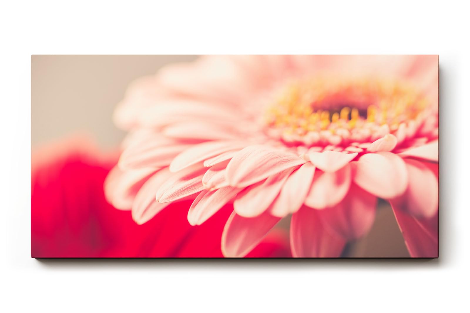 Sinus Art Wandbild 120x80cm Ruhiges Blütenmotiv mit harmonischer Lichtführung und sanften Rosétönen