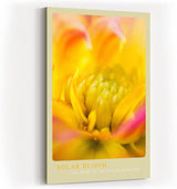 Paul Sinus Kunstdruck 40x60cm Solar Bloom Nahaufnahme einer goldgelben Blüte The Heart of the Flower is Sunfire