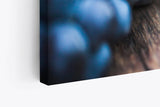 Paul Sinus Wandbild 120x80cm Trauben Früchte Weintrauben Fotokunst Blau Kunstvoll