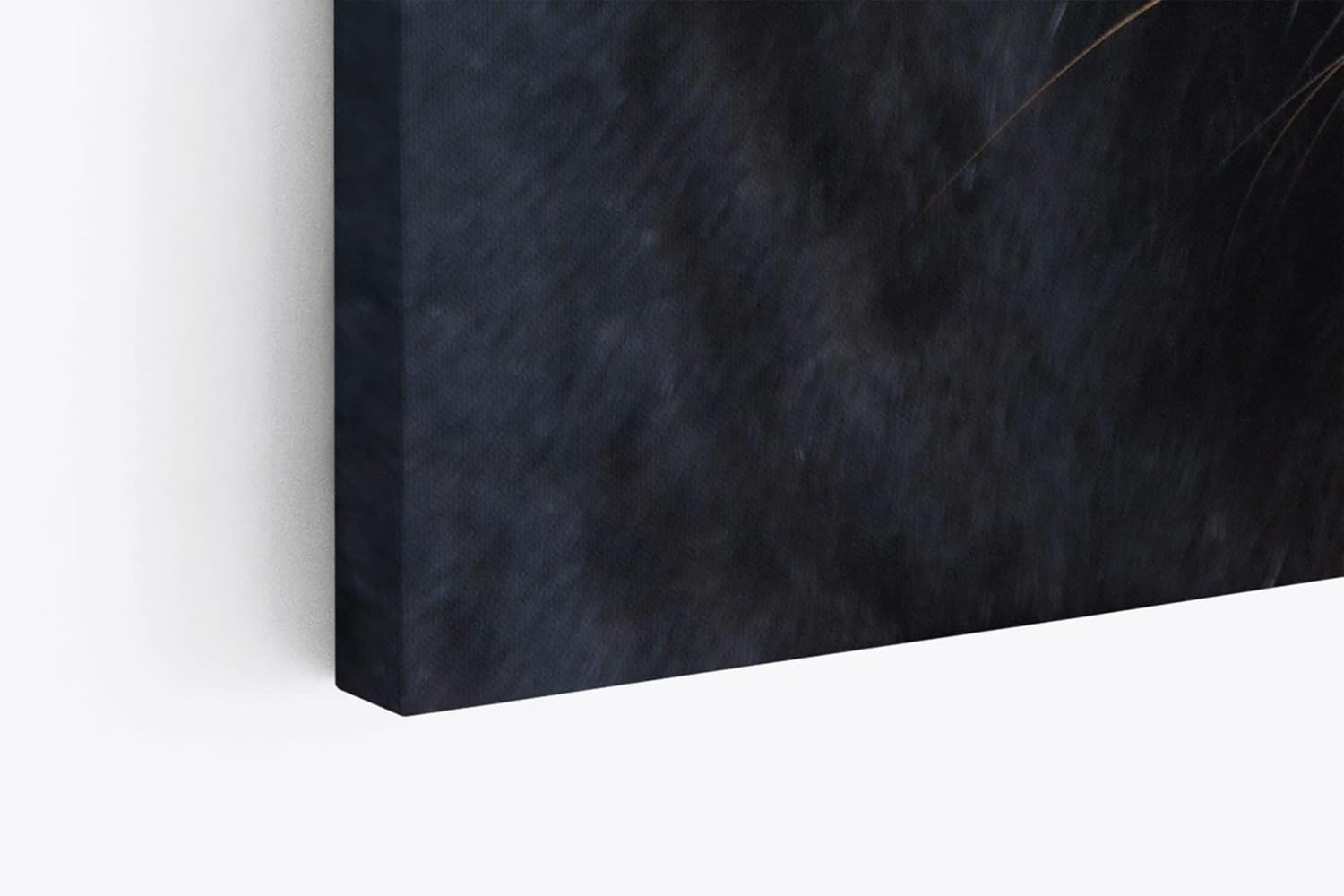 Paul Sinus Wandbild 120x80cm Schwarzen Panther Schwarz Raubkatze Leopard Jaguar