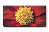 Sinus Art Wandbild 120x80cm Atemberaubende Nahaufnahme einer roten Blüte mit faszinierender Texturwirkung