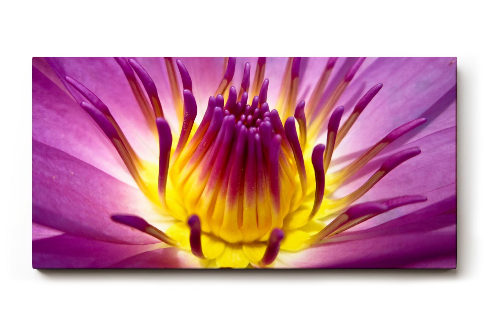 Sinus Art Wandbild 120x80cm Lotusblume in Violett mit leuchtendem Inneren – kraftvoll, symbolisch und beruhigend