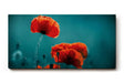 Sinus Art Wandbild 120x80cm Leuchtende Mohnblüten heben sich kontrastreich vom dunklen Hintergrund ab