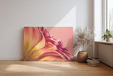 Sinus Art Wandbild 120x80cm Zartrosa Blütenstruktur mit transparentem Tautropfen – ruhig, romantisch und poetisch
