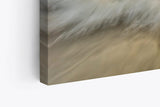 Paul Sinus Wandbild 120x80cm Sonnenuntergang Horizont Steg Holzbrücke Meer Strand