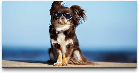 Hund mit Sonnenbrille ca. 130x70cm Wandbild inklusive Schattenfugenrahmen weiss - Panorama Leinwand Bild XXL Format Wandbilder Wohnzimmer Wohnung Deko Kunstdrucke