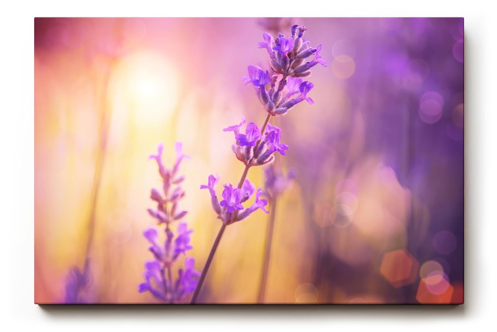 Sinus Art Wandbild 120x80cm Stimmungsvolles Lavendel-Motiv mit leuchtenden Farben auf harmonischem Hintergrund