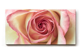 Sinus Art Wandbild 120x80cm Ästhetisches Rosenmotiv mit romantischer Ausstrahlung und Tiefe