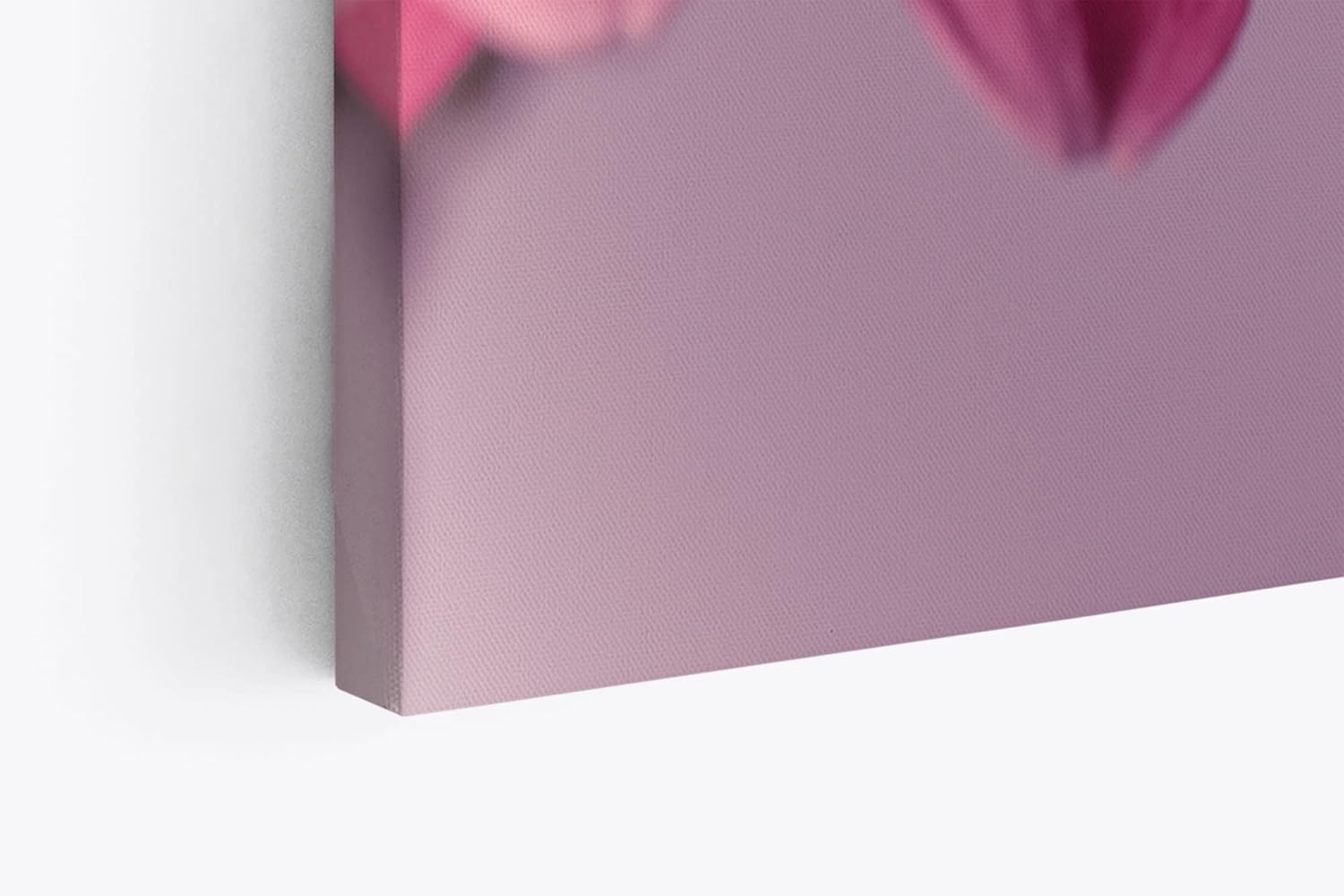 Paul Sinus Wandbild 120x80cm Barberton Blume Blüte Rosa Nahaufnahme Kunstvoll