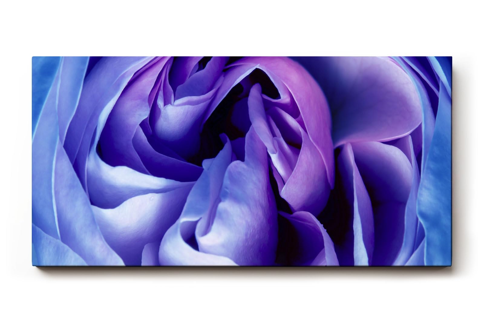 Sinus Art Wandbild 120x80cm Abstrakte Blütenstruktur in Violett- und Blautönen – sinnlich, edel und modern