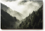 Sinus Art Wandbild 120x80cm Dichter Nadelwald unter ziehendem Nebel – geheimnisvoll, ruhig und atmosphärisch