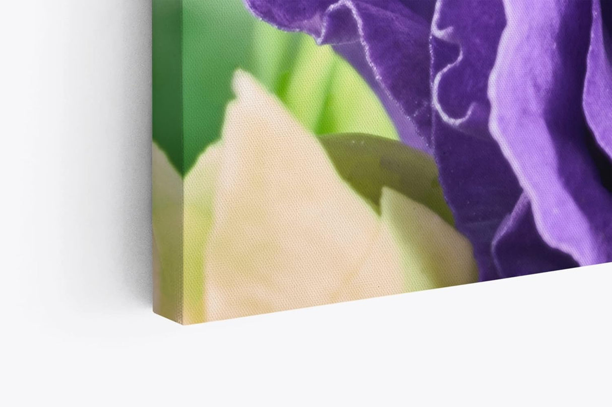 Paul Sinus Wandbild 120x80cm Violette Blume Blüte Nahaufnahme Kunstvoll Dekorativ