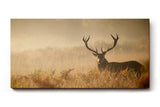 Sinus Art Wandbild 120x80cm Der majestätische Hirsch im Nebel erzeugt eine ruhige kraftvolle Stimmung im Raum