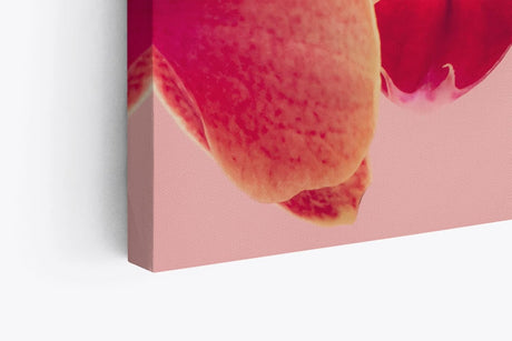 Paul Sinus Wandbild 120x80cm Orchideen Blumen rosa Blüten Kunstvoll Fotokunst