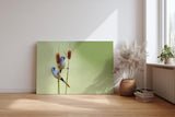 Sinus Art Wandbild 120x80cm Zwei Bartmeisen auf Schilfrohren – ruhige Komposition mit hohem ästhetischen Wert