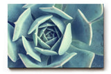 Sinus Art Wandbild 120x80cm Geometrisch aufgebaute Blätter einer Sukkulente in faszinierender Perspektive