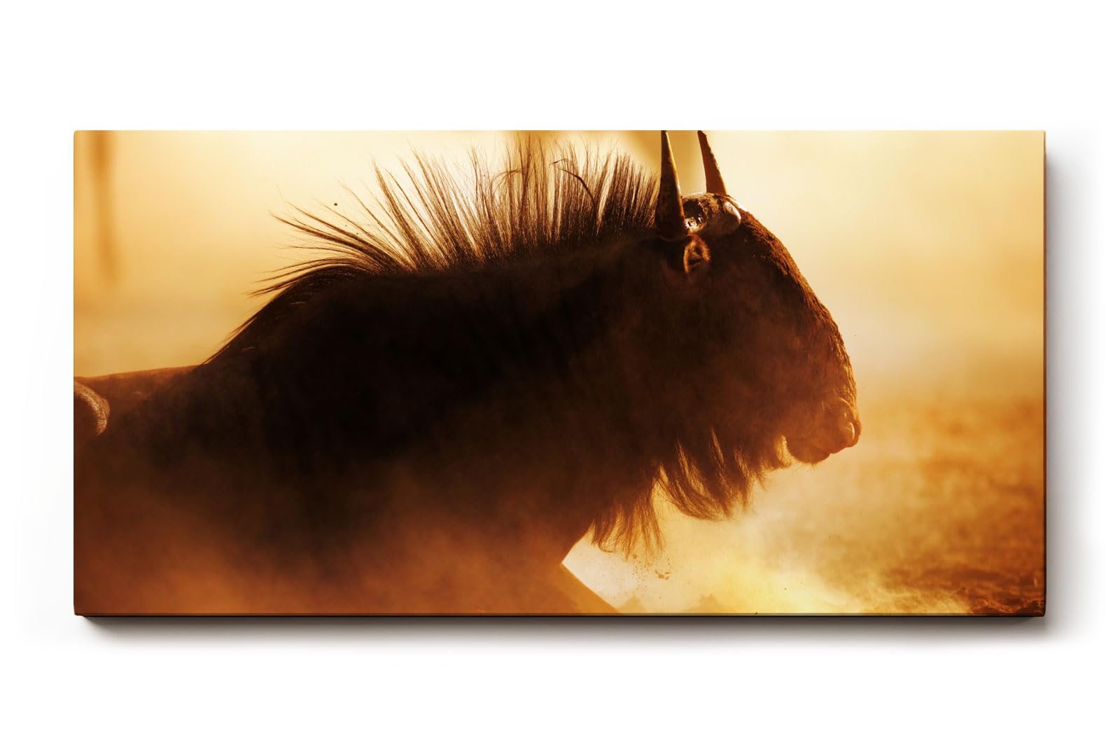 Sinus Art Wandbild 120x80cm Eindrucksvolle Tieraufnahme mit staubigem Lichtspiel und natürlicher Wildnis-Atmosphäre