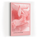 Paul Sinus Kunstdruck 40x60cm Lotus Bloom – Zarte Lotusblüte in sanften Rosatönen als Symbol der Achtsamkeit