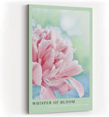 Paul Sinus Kunstdruck 40x60cm Whisper of Bloom – zarte Pfingstrose im Morgentau