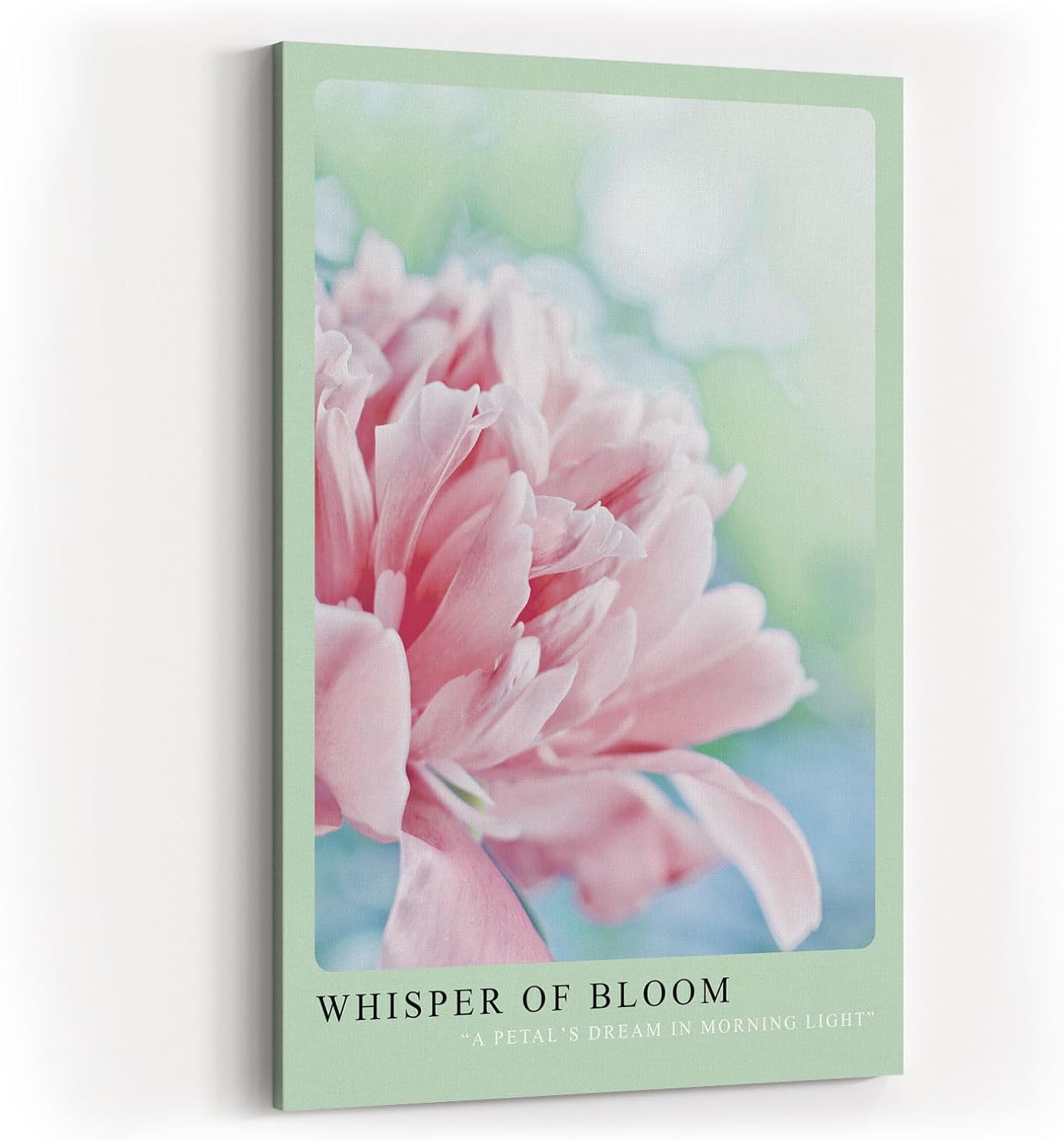Paul Sinus Kunstdruck 40x60cm Whisper of Bloom – zarte Pfingstrose im Morgentau