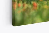 Paul Sinus Wandbild 120x80cm Toskana Italien Landschaftsbild Sommer Finca