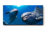 Sinus Art Wandbild 120x80cm Die Delfine wirken lebensfroh und einladend und bringen maritime Energie in jeden Raum