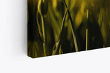 Paul Sinus Wandbild 120x80cm Gelbe Tulpen Blumen Blüten Fotokunst Sommer