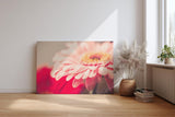 Sinus Art Wandbild 120x80cm Ruhiges Blütenmotiv mit harmonischer Lichtführung und sanften Rosétönen