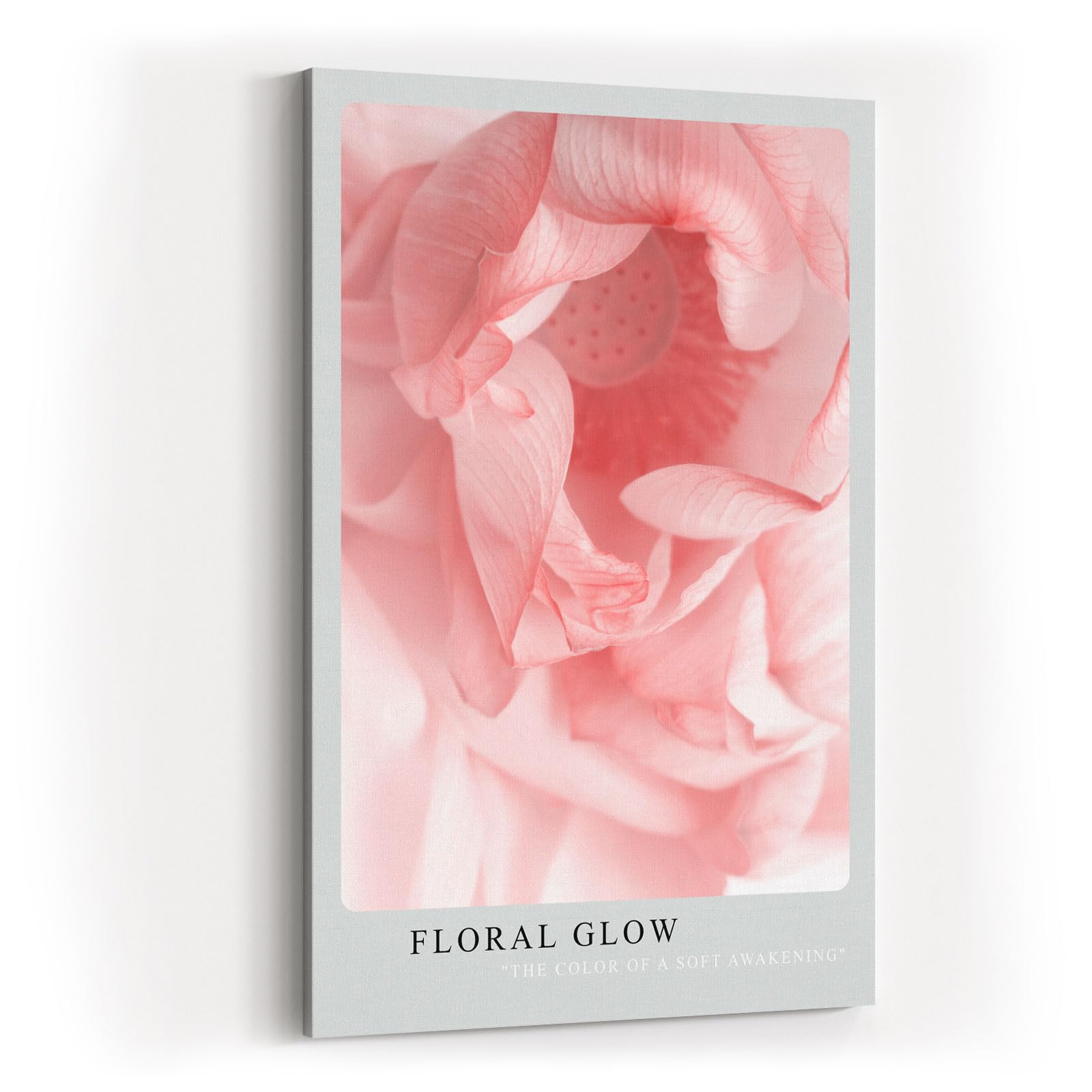 Paul Sinus Kunstdruck 40x60cm Floral Glow Lotusblüte Rosa Nahaufnahme Blume Aquarelloptik
