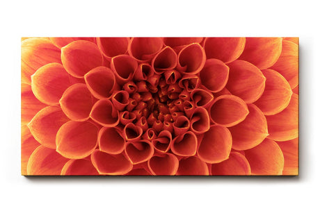 Sinus Art Wandbild 120x80cm Faszinierende Blütenstruktur in perfekter Symmetrie als Symbol für Schönheit und Harmonie