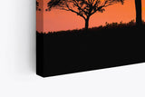 Paul Sinus Wandbild 120x80cm Afrikanische Landschaft Burkea Africana Bäume Sonnenuntergang
