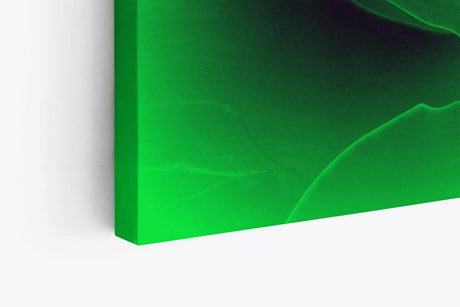 Paul Sinus Wandbild 120x80cm Aloe Vera Pflanze Grün Nahaufnahme Kunstvoll