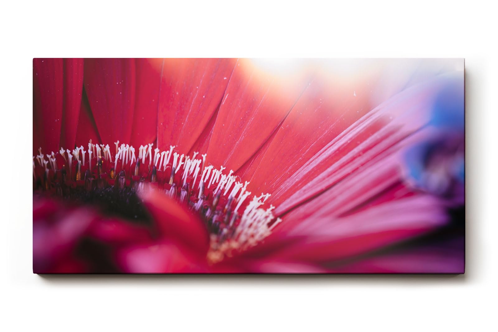 Sinus Art Wandbild 120x80cm Künstlerische Darstellung einer roten Blüte mit Lichtakzenten und unscharfen Strukturen