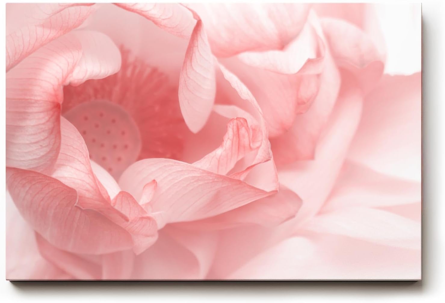 Sinus Art Wandbild 120x80cm Abstrakte Makroperspektive einer Lotusblüte – kunstvoll und symbolisch zugleich