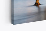 Paul Sinus Wandbild 120x80cm Baum im Wasser See Berge Natur Vögel