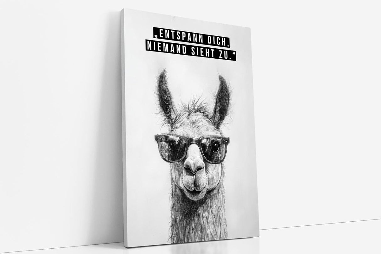 Paul Sinus Poster/Leinwandbild/Rahmenoption Lustiges Lamabild – Coole Klo-Deko fürs Gäste-WC – Perfekt für Humorvolle