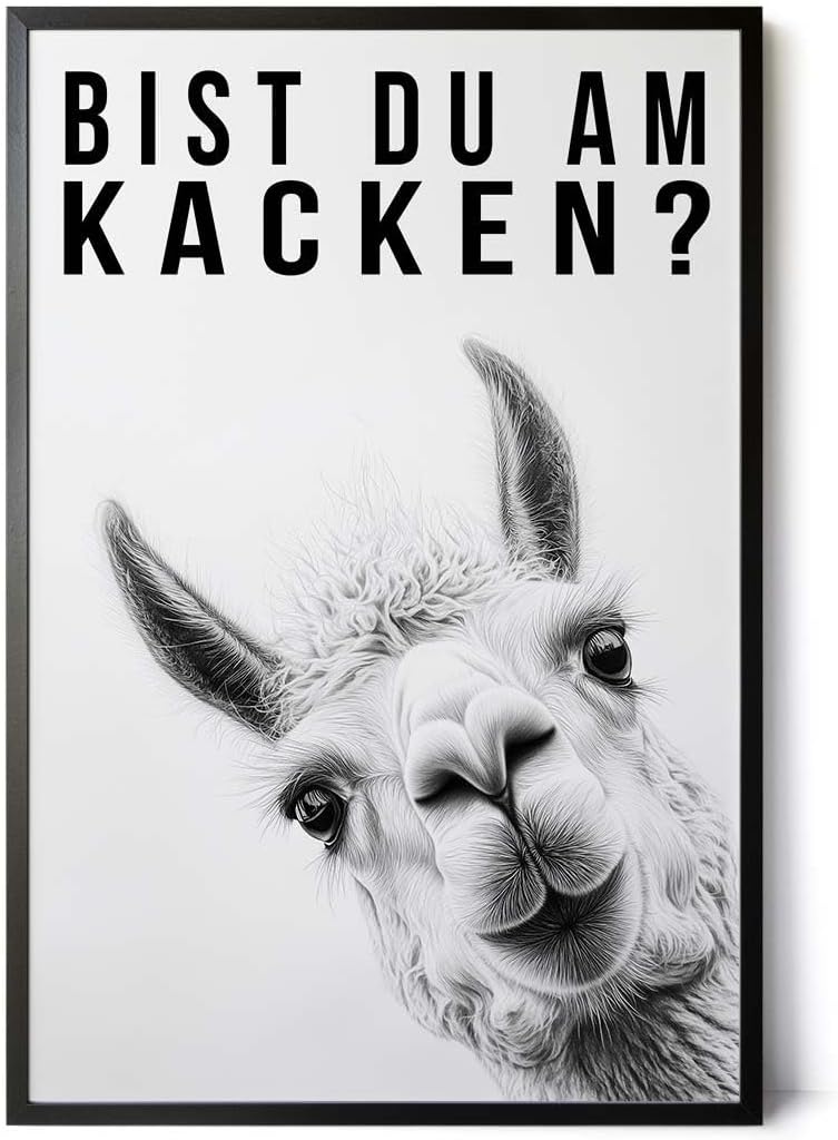 Paul Sinus Poster/Leinwandbild/Rahmenoption Lustiges Lamabild – Witzige Klo-Deko fürs Gäste-WC – Perfekt für Humorvolle
