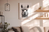 Paul Sinus Wandbild in 40x60cm Bad Hair Llama – humorvolles Lama-Porträt in Schwarz-Weiß mit witzigem Ausdruck