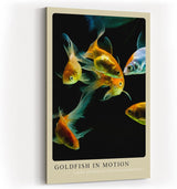 Paul Sinus Kunstdruck 40x60cm Goldfish in Motion – Elegante Goldfische in lebendiger Bewegung auf schwarzem Grund