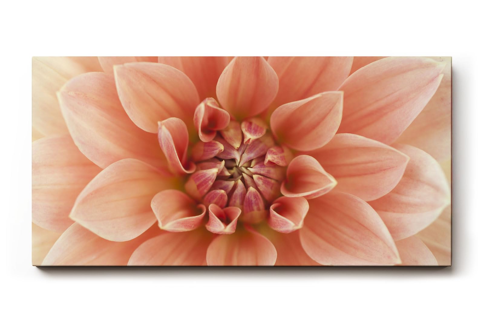 Sinus Art Wandbild 120x80cm Zentrierte Dahlienblüte mit perfekter Symmetrie und weicher Textur