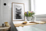 Paul Sinus Poster/Leinwandbild/Rahmenoption Lustiges Katzenbild – Witzige Klo-Deko fürs Badezimmer – Perfekt fürs Gäste-WC