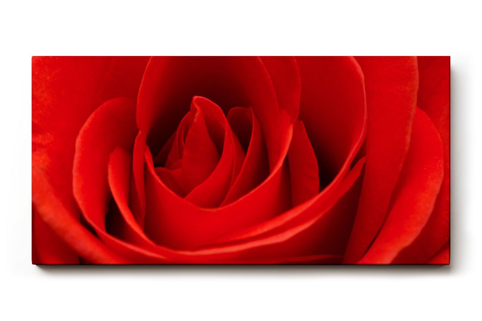 Sinus Art Wandbild 120x80cm Die samtige Struktur der roten Blütenblätter verleiht Tiefe und sinnliche Wirkung