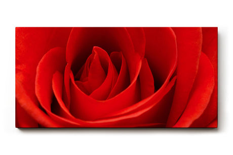 Sinus Art Wandbild 120x80cm Die samtige Struktur der roten Blütenblätter verleiht Tiefe und sinnliche Wirkung