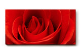 Sinus Art Wandbild 120x80cm Die samtige Struktur der roten Blütenblätter verleiht Tiefe und sinnliche Wirkung