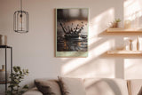 Paul Sinus Wandbild in 40x60cm The Liquid Crown – Fotografische Nahaufnahme einer Wasserkrone im Moment des Aufpralls