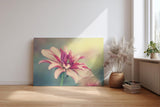 Sinus Art Wandbild 120x80cm Blüte in Rosé und Cremefarben mit weichem Hintergrund – romantisch und dezent