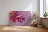 Sinus Art Wandbild 120x80cm Faszinierende Nahaufnahme einer rosa Blüte für eine elegante und ruhige Raumwirkung